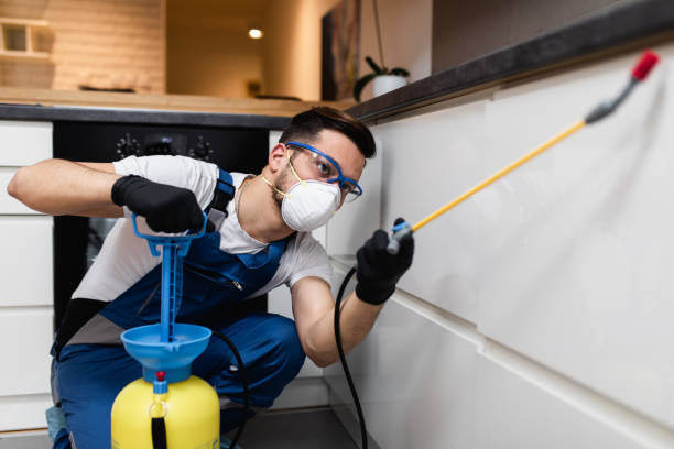 Best Rat Extermination Near Me  in Rosenberg, TX