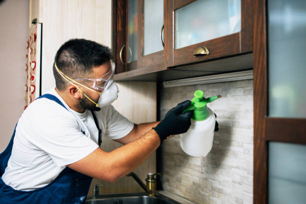 Professional Pest Control in Rosenberg, TX