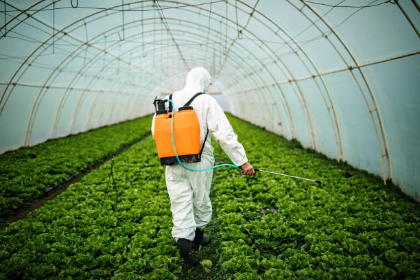 Best Affordable Pest Control Services  in Rosenberg, TX