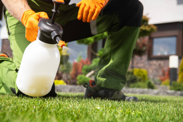 Best Affordable Pest Control Services  in Rosenberg, TX