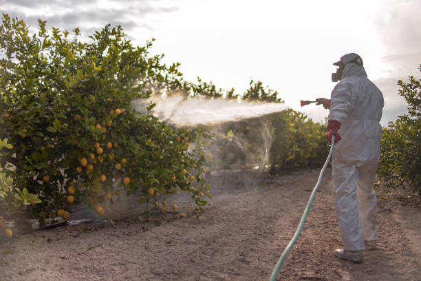  Rosenberg, TX Pest Control Pros