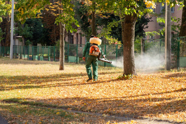 Best Spider Control Near Me  in Rosenberg, TX